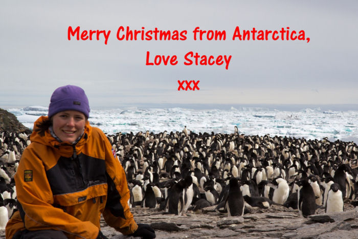 Christmas greetings from Stacey
